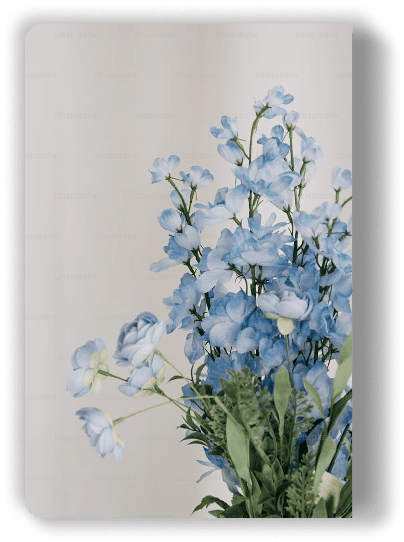 Blue flowers